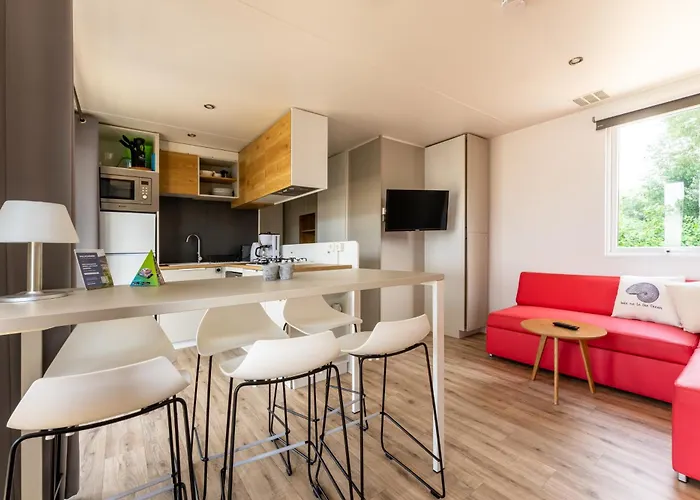 Muschel 55 Scharbeutz